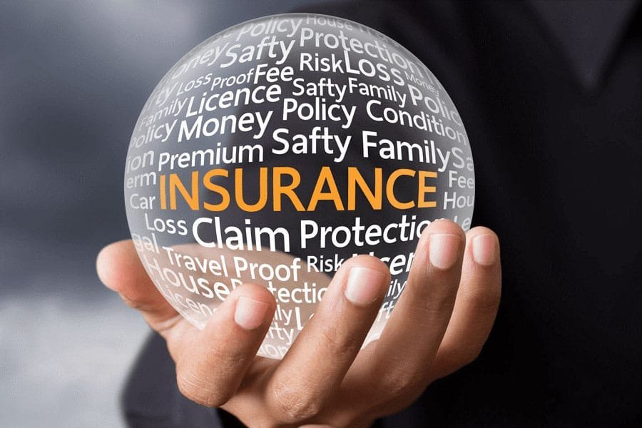 Learning Policy Terms, Conditions, and Exclusions